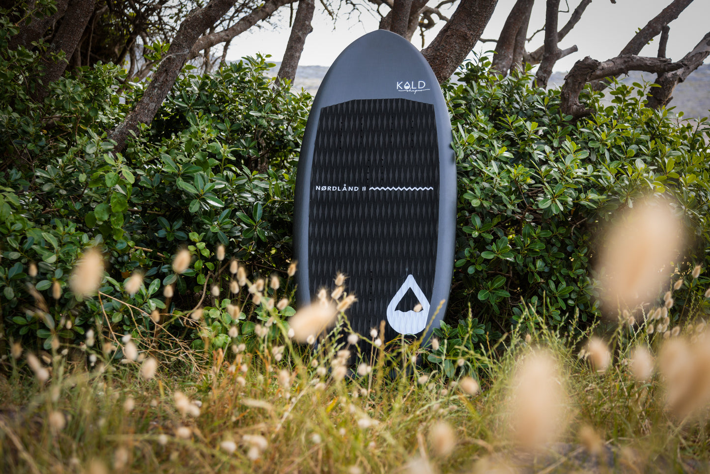Wingboard KOLD shapes Nordland II